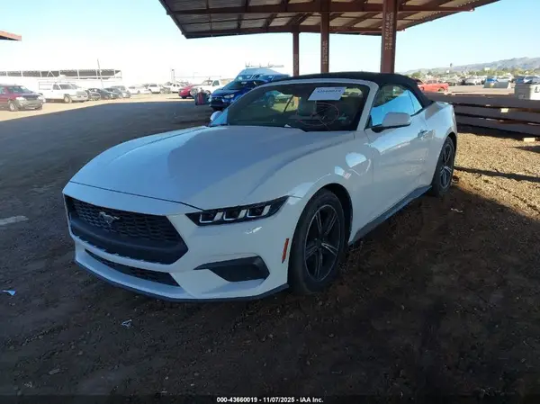 1FAGP8UH4R5132645 2024 FORD MUSTANG - Image 2