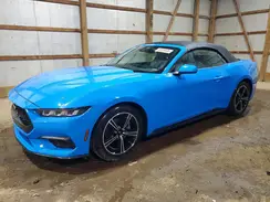 1FAGP8UH4R5135884 2024 FORD MUSTANG