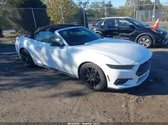1FAGP8UH4S5115348 2025 FORD MUSTANG