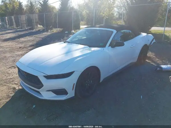 1FAGP8UH4S5115348 2025 FORD MUSTANG - Image 2