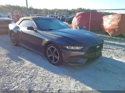 1FAGP8UH5R5105826 2024 FORD MUSTANG