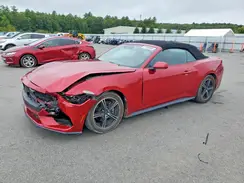 1FAGP8UH5R5116678 2024 FORD MUSTANG