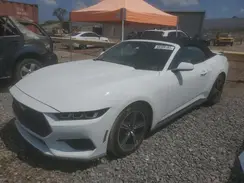 1FAGP8UH5R5117264 2024 FORD MUSTANG