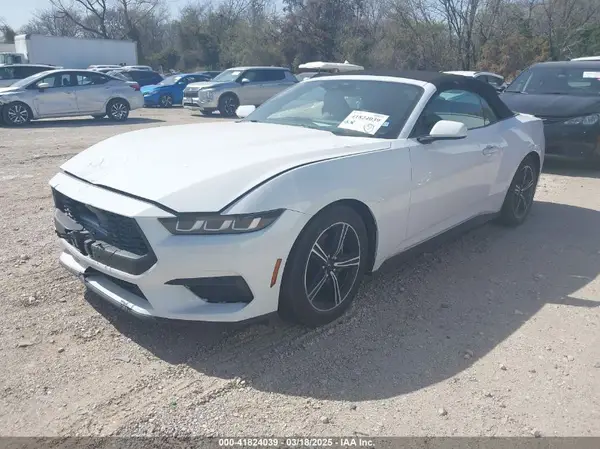 1FAGP8UH5R5120665 2024 FORD MUSTANG - Image 2