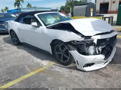 1FAGP8UH5R5131536 2024 FORD MUSTANG