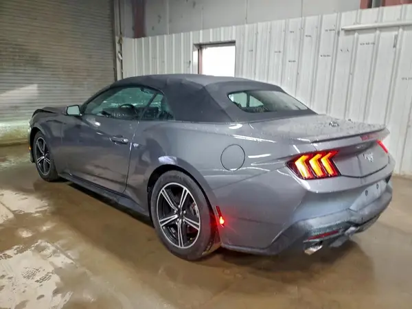 1FAGP8UH5R5132864 2024 FORD MUSTANG - Image 2