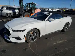 1FAGP8UH5R5134212 2024 FORD MUSTANG