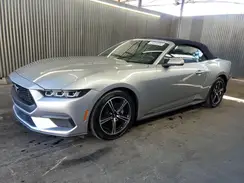 1FAGP8UH5S5106206 2025 FORD MUSTANG