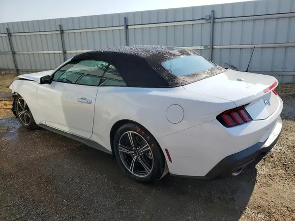 1FAGP8UH5S5117335 2025 FORD MUSTANG - Image 2