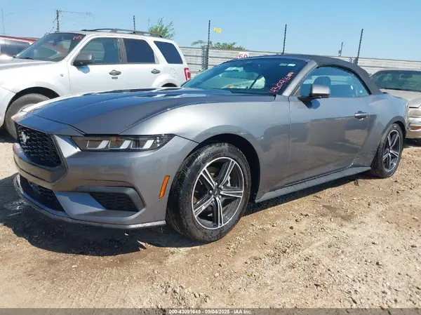 1FAGP8UH6R5121128 2024 FORD MUSTANG - Image 2