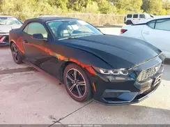 1FAGP8UH6R5133537 2024 FORD MUSTANG