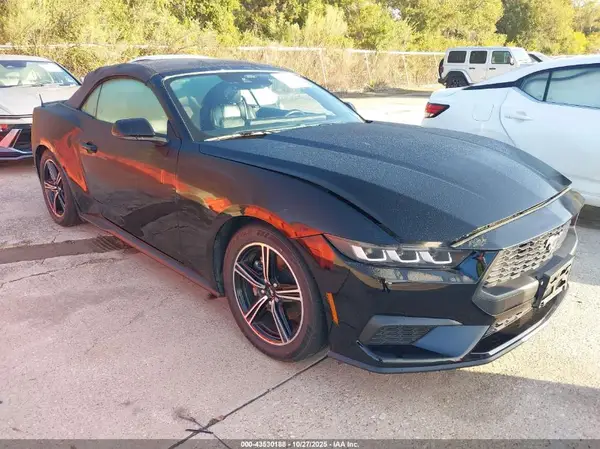 1FAGP8UH6R5133537 2024 FORD MUSTANG - Image 1