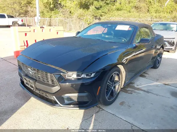 1FAGP8UH6R5133537 2024 FORD MUSTANG - Image 2
