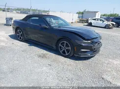 1FAGP8UH6S5115075 2025 FORD MUSTANG