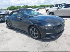 1FAGP8UH6S5124035 2025 FORD MUSTANG