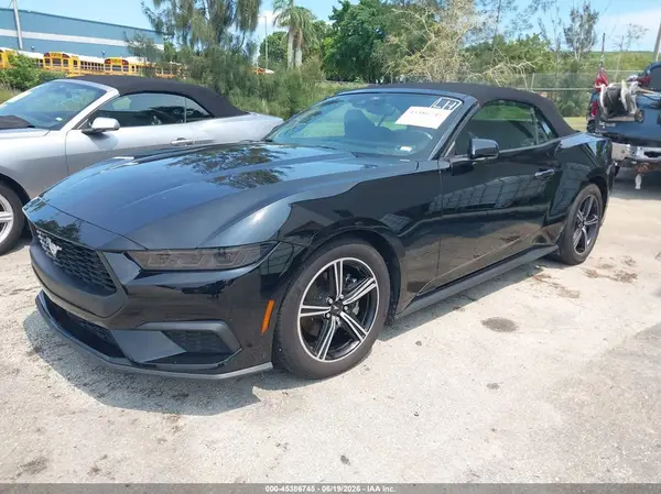 1FAGP8UH6S5124035 2025 FORD MUSTANG - Image 2