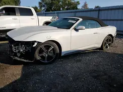 1FAGP8UH7R5104628 2024 FORD MUSTANG