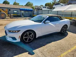 1FAGP8UH7R5113037 2024 FORD MUSTANG