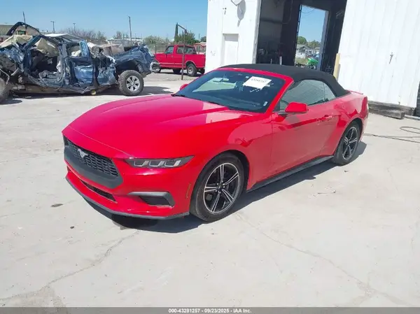 1FAGP8UH7R5113054 2024 FORD MUSTANG - Image 2