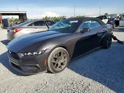 1FAGP8UH7R5119176 2024 FORD MUSTANG