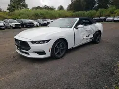 1FAGP8UH7R5120165 2024 FORD MUSTANG