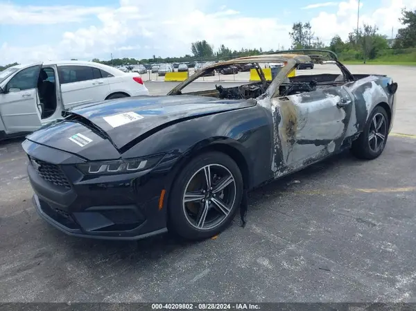1FAGP8UH7R5120537 2024 FORD MUSTANG - Image 2