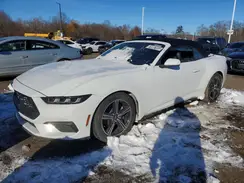 1FAGP8UH7R5121025 2024 FORD MUSTANG