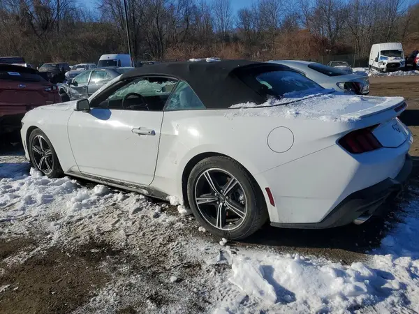 1FAGP8UH7R5121025 2024 FORD MUSTANG - Image 2