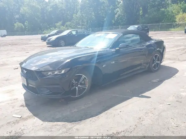 1FAGP8UH7R5127519 2024 FORD MUSTANG - Image 2