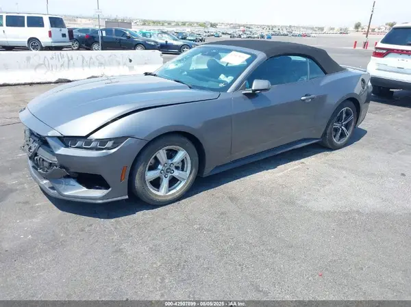 1FAGP8UH7R5130761 2024 FORD MUSTANG - Image 2
