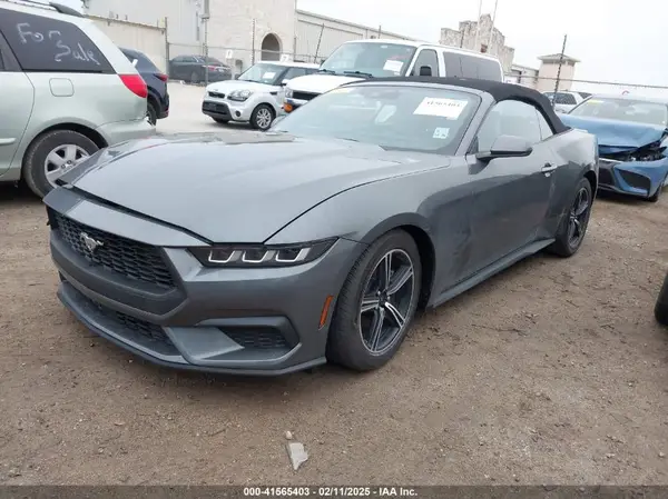 1FAGP8UH7R5131358 2024 FORD MUSTANG - Image 2