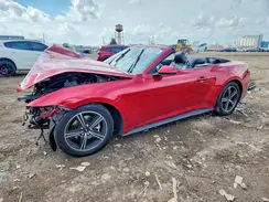 1FAGP8UH7R5131859 2024 FORD MUSTANG