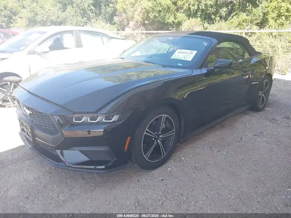 1FAGP8UH7R5133398 2024 FORD MUSTANG - Image 2