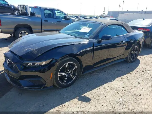 1FAGP8UH7R5136527 2024 FORD MUSTANG - Image 2