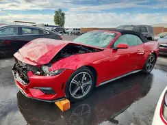1FAGP8UH7R5137600 2024 FORD MUSTANG