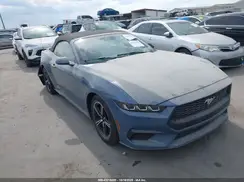 1FAGP8UH7R5140979 2024 FORD MUSTANG