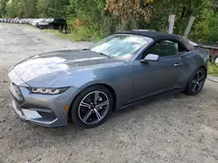 1FAGP8UH7S5105252 2025 FORD MUSTANG