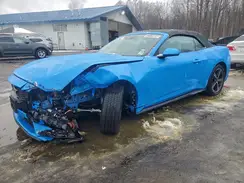 1FAGP8UH7S5127767 2025 FORD MUSTANG