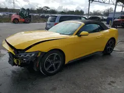 1FAGP8UH8R5114097 2024 FORD MUSTANG