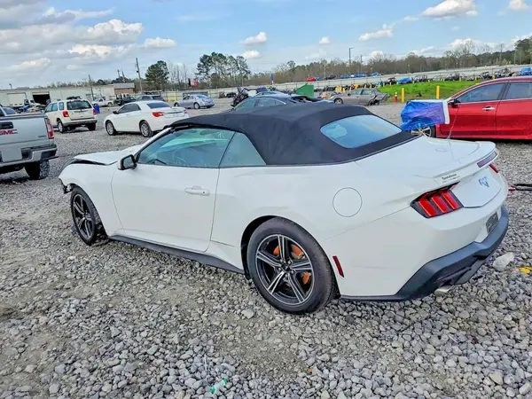 1FAGP8UH8R5124287 2024 FORD MUSTANG - Image 2
