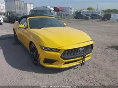1FAGP8UH8R5133264 2024 FORD MUSTANG