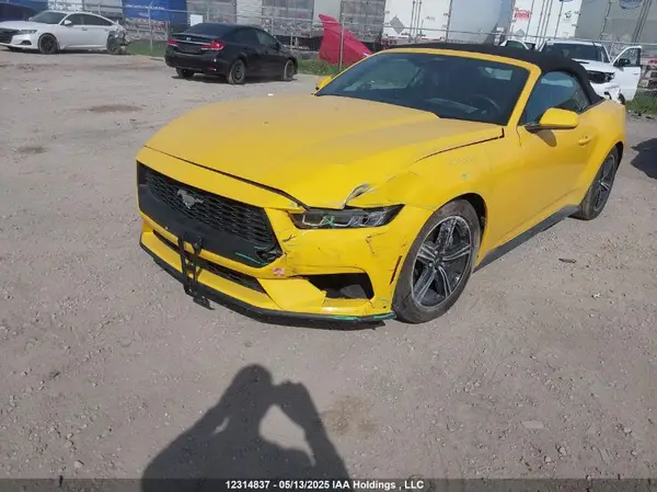 1FAGP8UH8R5133264 2024 FORD MUSTANG - Image 2