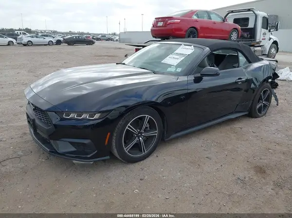 1FAGP8UH8R5141462 2024 FORD MUSTANG - Image 2