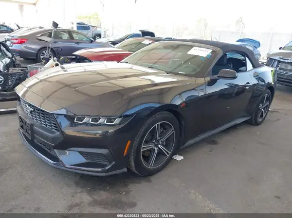 1FAGP8UH8R5141686 2024 FORD MUSTANG - Image 2