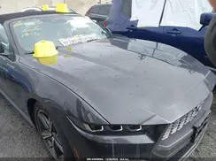 1FAGP8UH8R5145530 2024 FORD MUSTANG