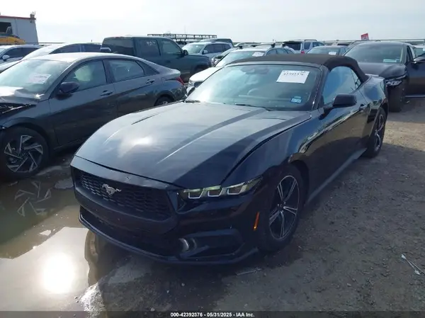 1FAGP8UH8S5110623 2025 FORD MUSTANG - Image 2