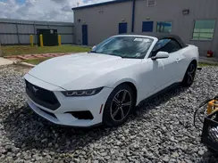 1FAGP8UH8S5110802 2025 FORD MUSTANG