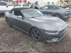 1FAGP8UH8S5111304 2025 FORD MUSTANG