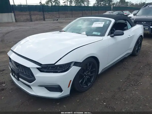 1FAGP8UH9R5116473 2024 FORD MUSTANG - Image 2