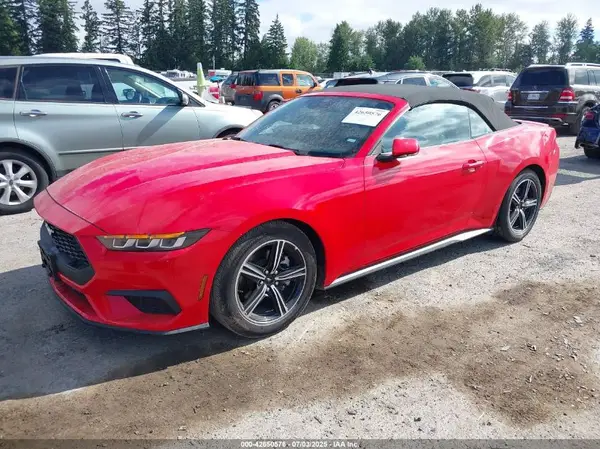 1FAGP8UH9R5129238 2024 FORD MUSTANG - Image 2